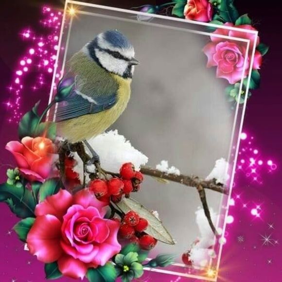 Meet your Posher, Lorie - Picture 1 of 1